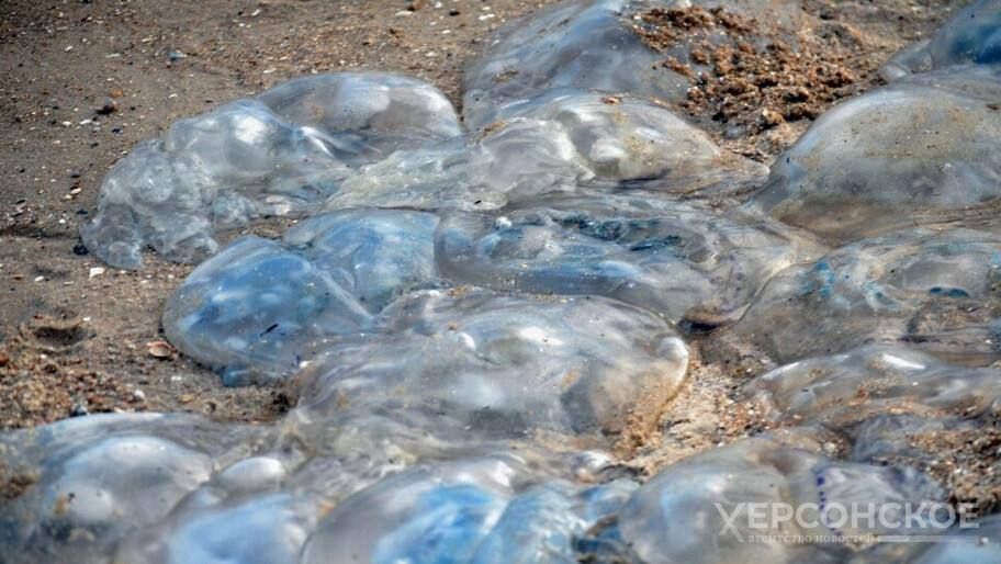 ���� ���������, ��� ������ ������ ��� ������� � �������