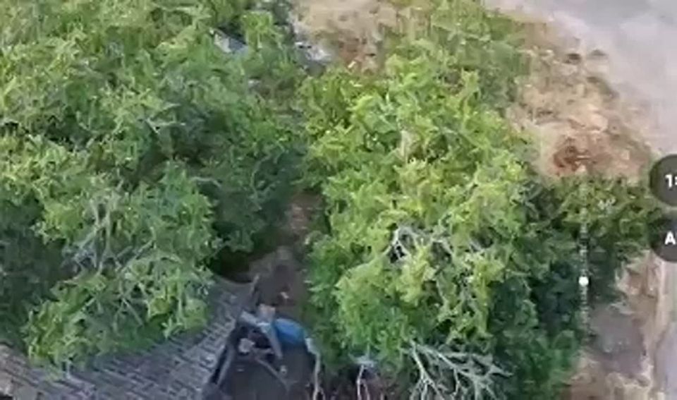 '��� ���, ���������� �����: ������ �������� �������� �� ������