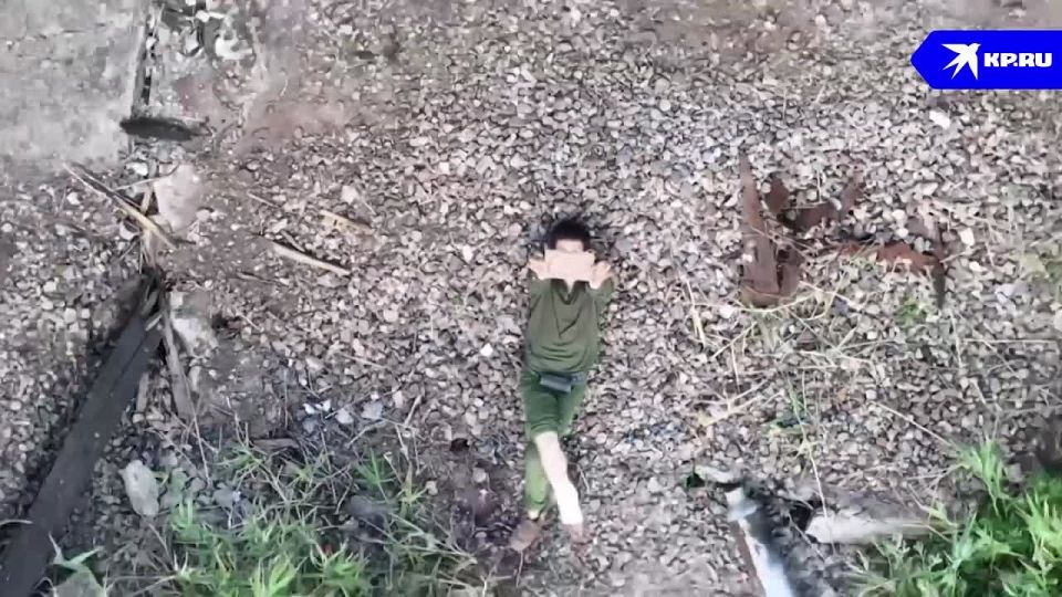 ���������� �������� ������: ������� ������ ��� ������ ���������� �����, �������� �� ��