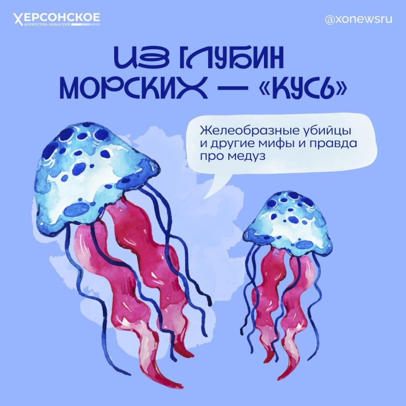 ���� ����� � �� ������ �������: ���� �� ����� ������ ����� �������� � �������