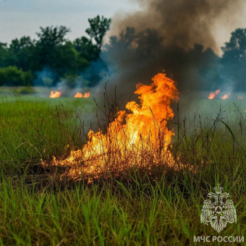 ����������� ������: ������� � �����������