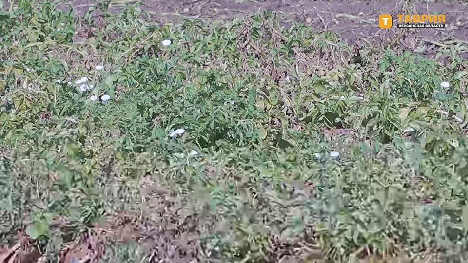 ������� ���������� ������� ���������� � ������ ���������