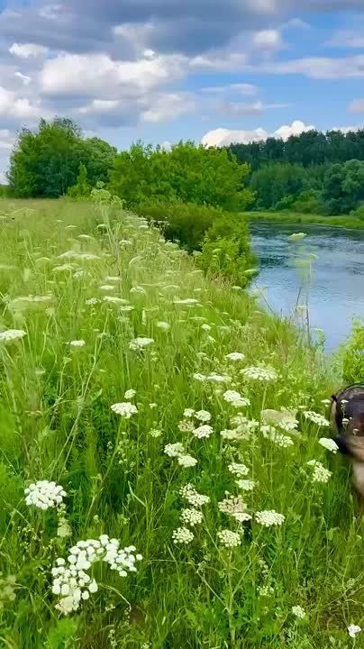 ������ ����!. ����������, ������������� ��������! ����� �� �����- ����������� ���������! ��������, ������, ��������������, ������� � ��� ����� � ����� ������������ ���������� ������� ������ �������������