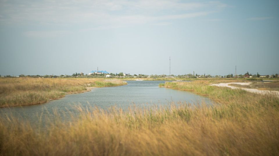 �������� ������: ���������� ������� � ���� ���� �����, ������������ ������, ������ ������ � �������������� �������