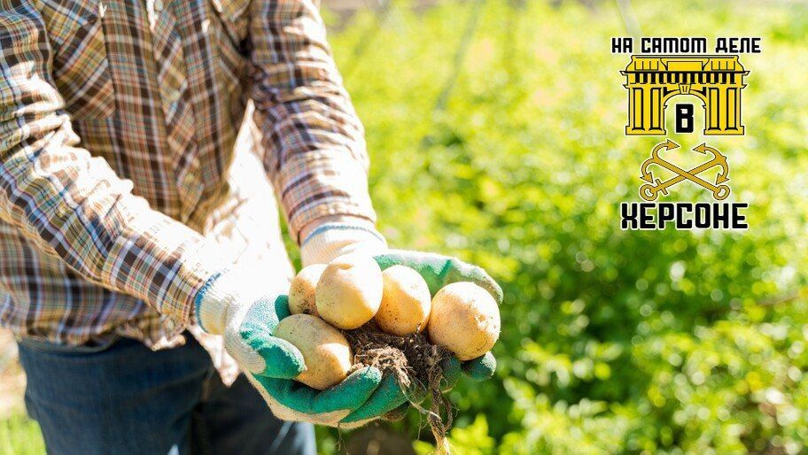 ������� ���������� ������ ������ ���� ������ ���������