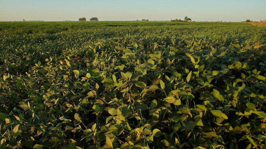 ������� ���������� ������� ��������� ������ ���������������� �������