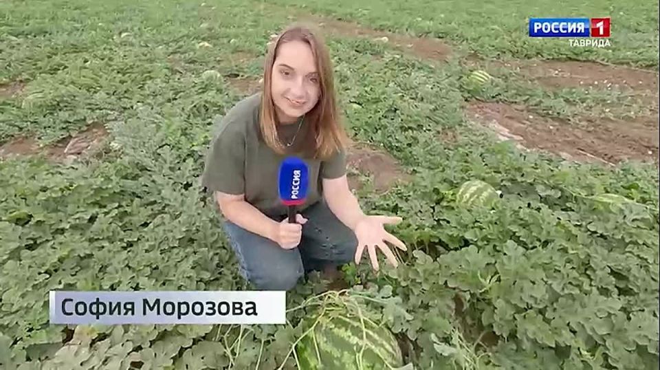 ��� �������: � ����� � �������� ���������� ������� ��������� ����� ��������