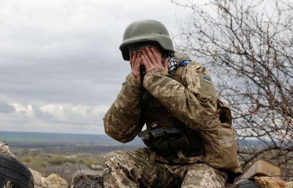 ���� �������� �������� ������ �� ������, � ������