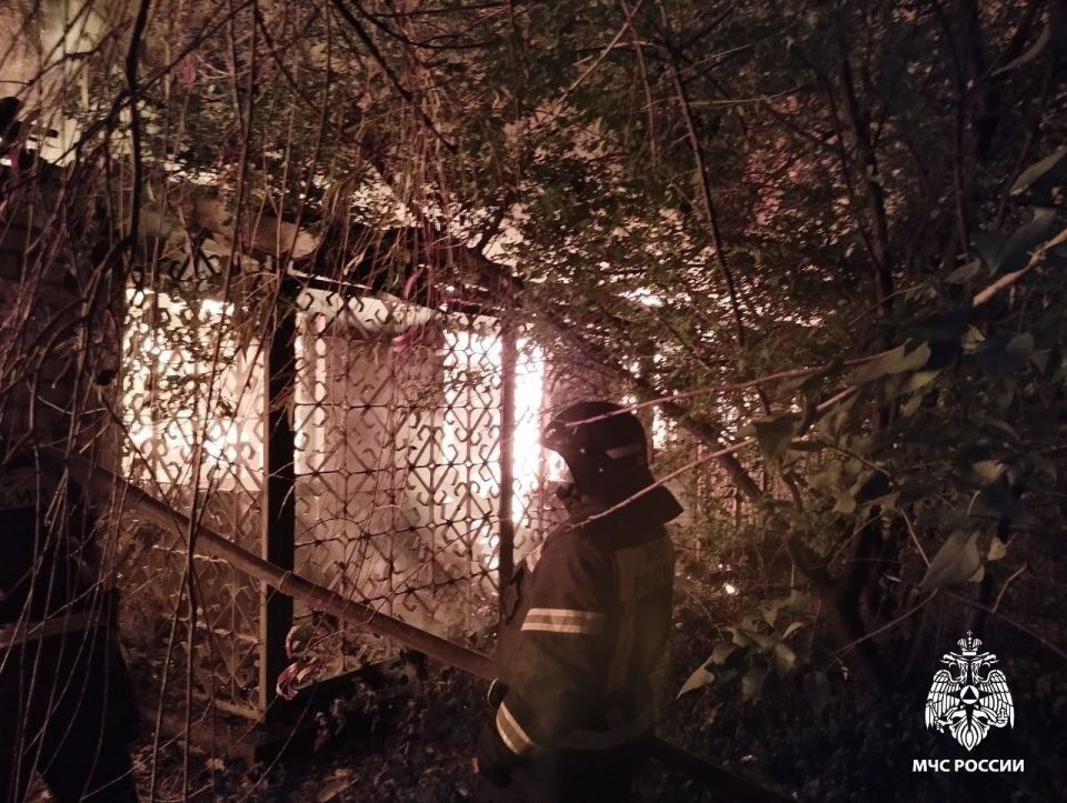 #��������������. �� �������� �����: ������������� 5 ����������� �������: