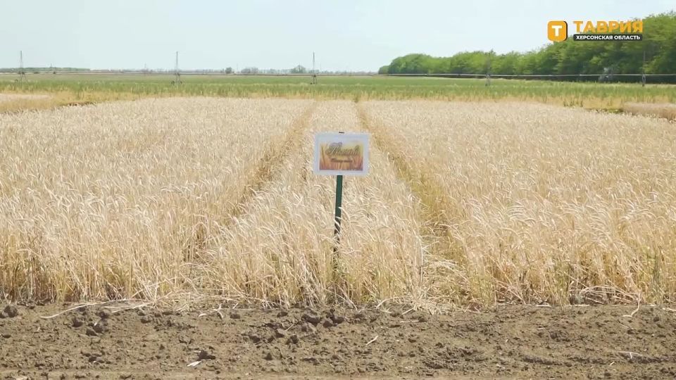 � ���������� ������� ��-�� ������ ��������� ������ ������� ����