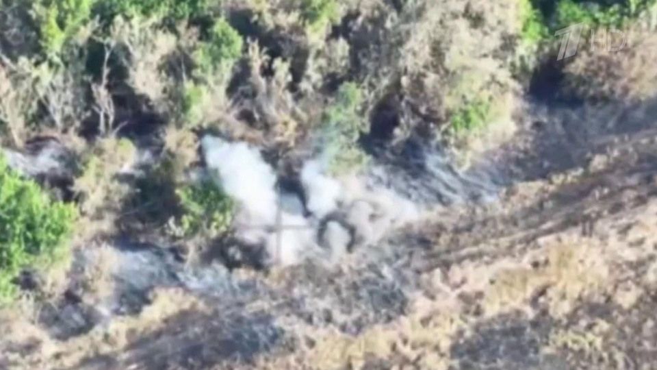 ���������� ������ ���������� ����������� ��� �� ������ ������ ������ � ������� ������������