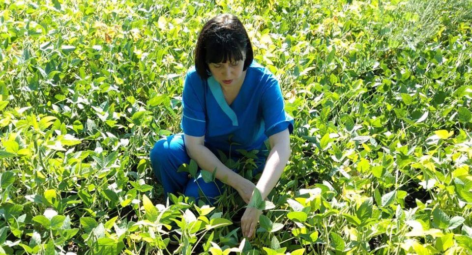 ������� ��������� �������� ������� � ���������� ������� ����������� �����