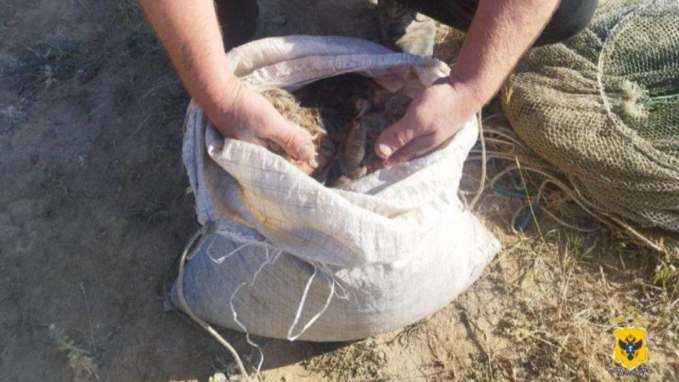 ������� ������� ���������� ������� ������� � ���������� ������ �������� ����� ��� �� 1 ��� ������