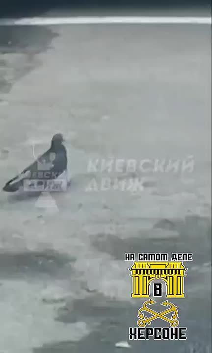 �� ����� ������ ����� ������� ������ �� ���������