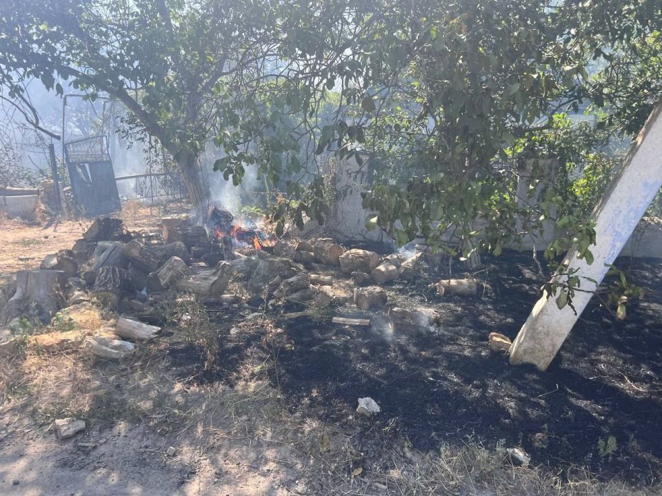 ���� �������� ������ ����� � ���������� ����� ��������