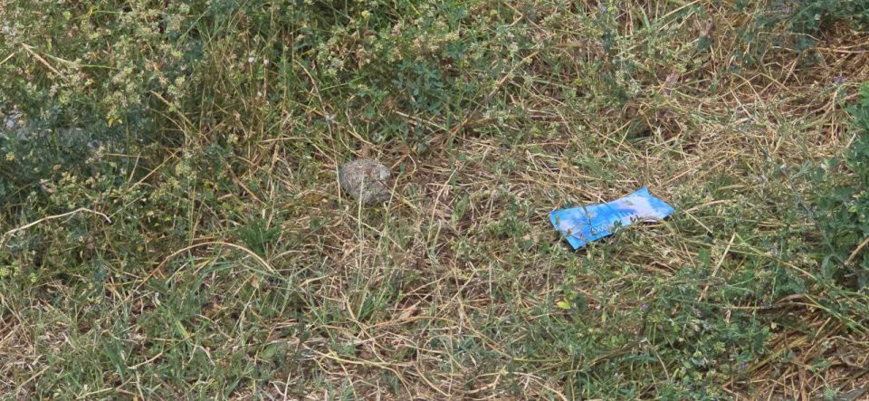 � ������� ������� ���� ��-�������� � ��������� ��-�� �������� ���������� �������