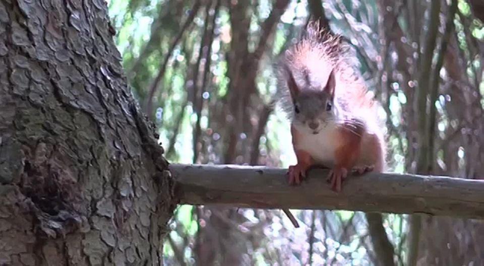  :     ,        ,       21 :