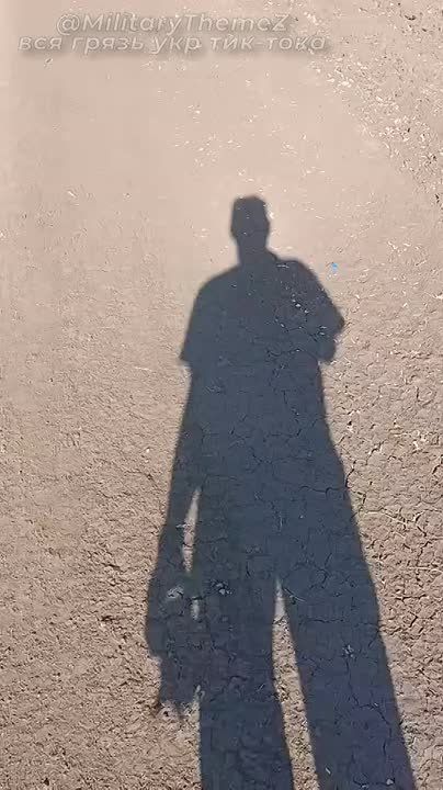 ������������ �� ����� �� �������� ������ ������������ �������� International MaxxPro �������� ���