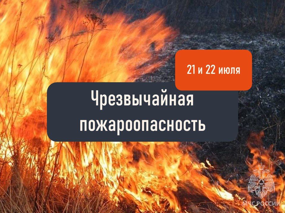 ������������ ���������������