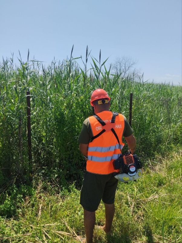 ����������� ����������� ��� ��������� �������� ����� �� ������������ � ��������������� ������������ ��������������