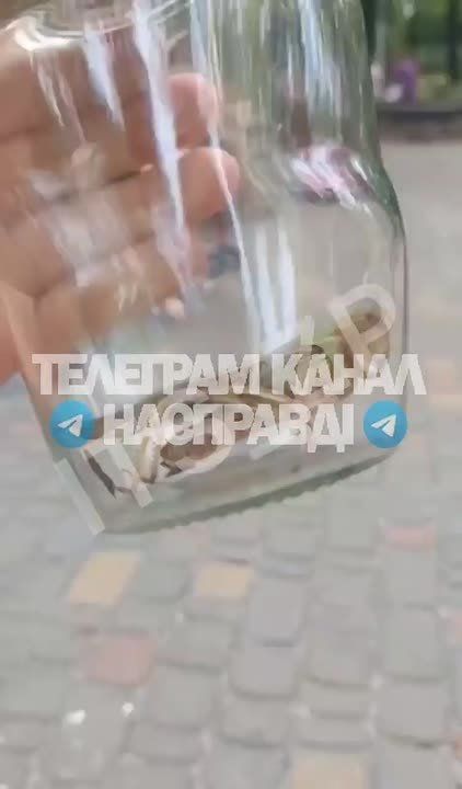 � ����������� ������� ��������� ���������� �������