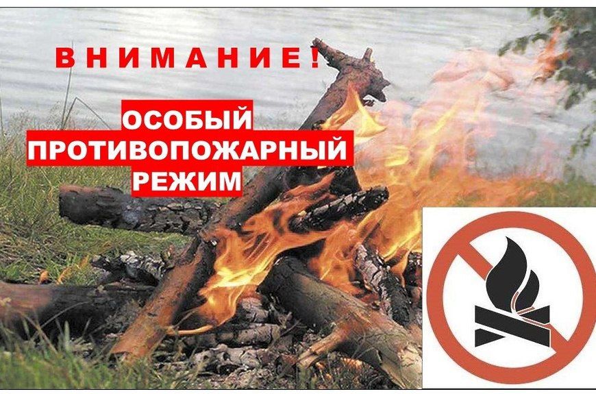 ���������� ��������������: ������� ��������������� � ���������� �������