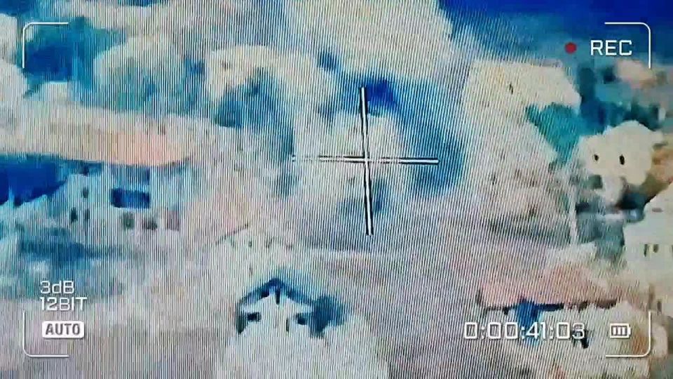 ������. ������� ����