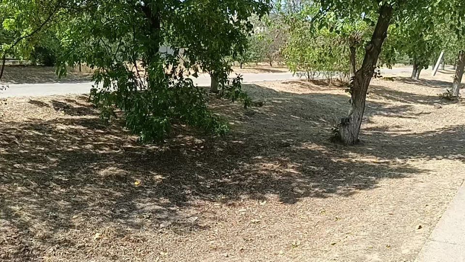 ������������� ���� ������� ������������ ������� � ������� � ��������� ������