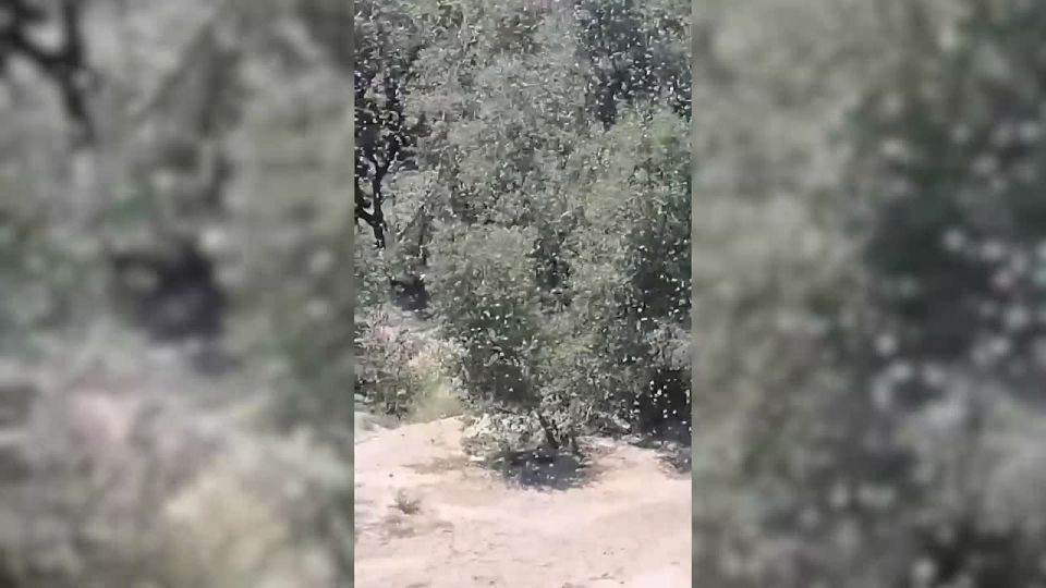 ���� ����������? ������� ��������� ������� ��������� � ���� ������ ����������������, ���������, �������� � �������������� ��� ���������� ����������� �������