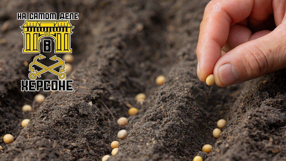 ���������� ������� ������� ��������� ��� ������� ������� ��������� ���������!