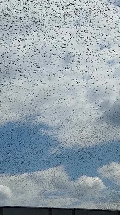 ����� ����������: ��������� ������� � ���������