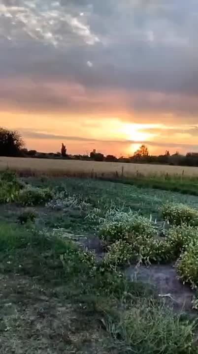 ���������� ������� � �����: ���������� �������� ������ �������� ������� ������� ����