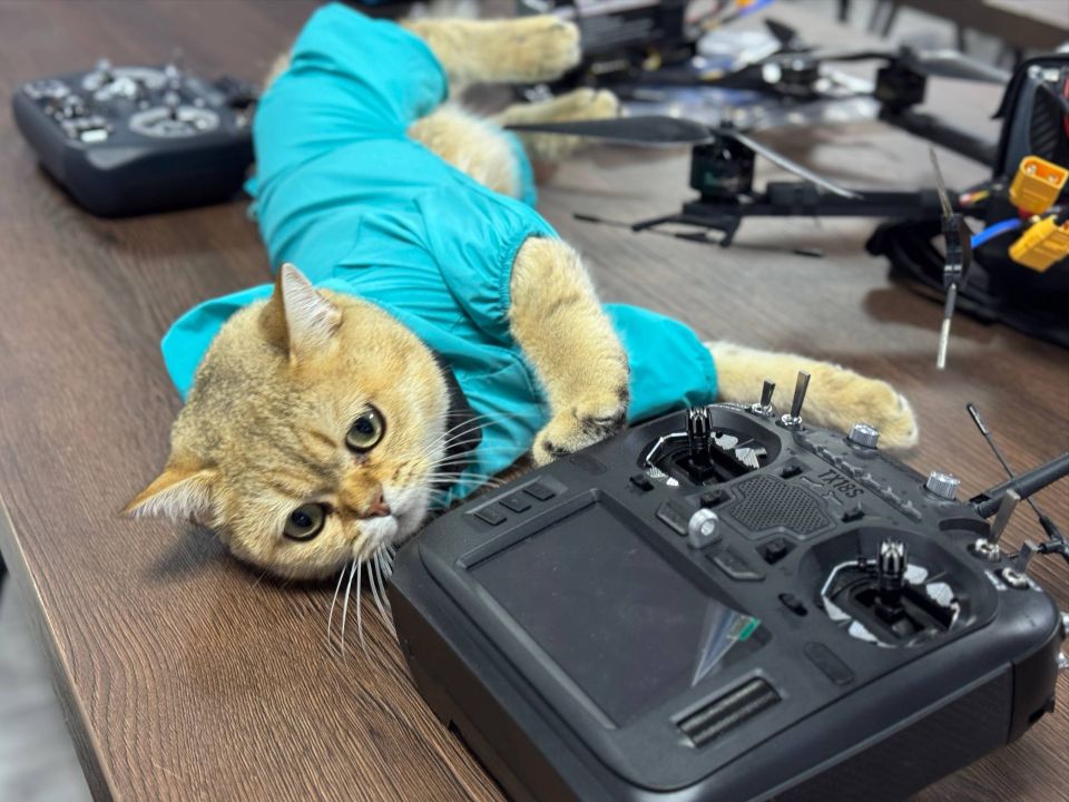 ���� �������: � ����� ������� ����������!