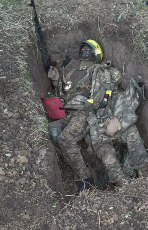 ���������� �������, ���� 2025