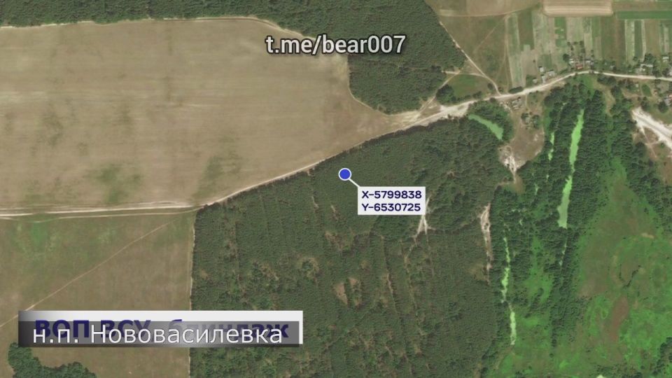 ������������ ����� ������ ������ "�����" � ����������� �����������, ������� � ������������ ��������: