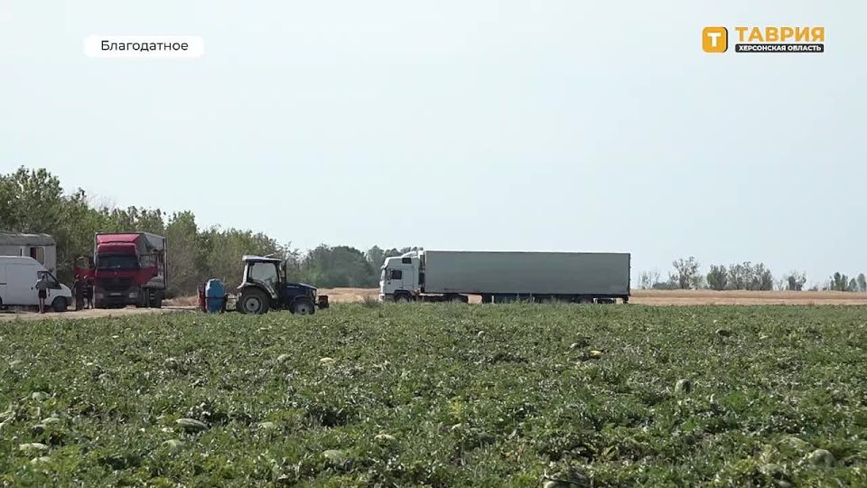 ������� ���������� ��������� ������� 10 ����� ���� �������� ������� � 2025 ����