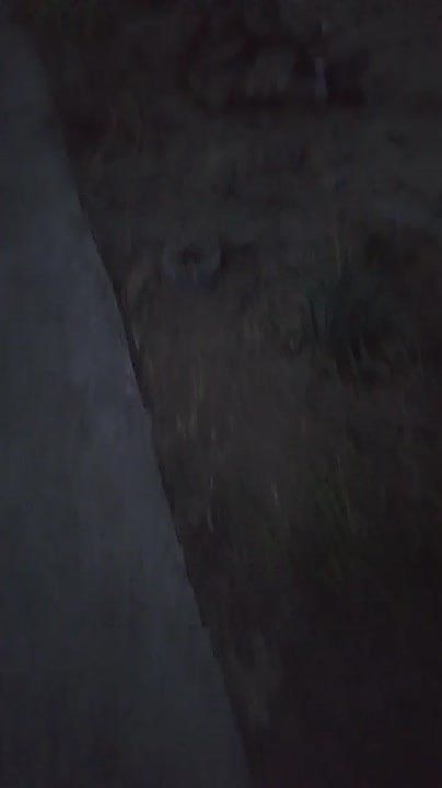 ��������� �������� �������� ������� � ��������� ������� � ������ ���������� ��������