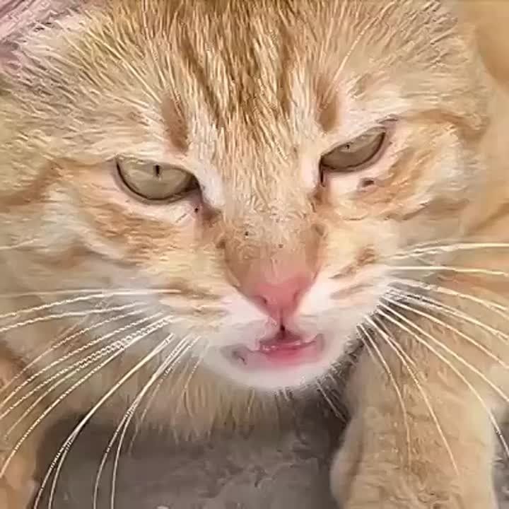 ����� ����� � ������ �������!