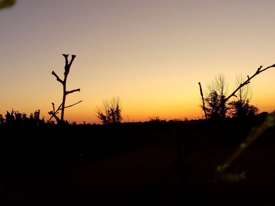 ����� � ������ ��������� � ��������� ����� �����������