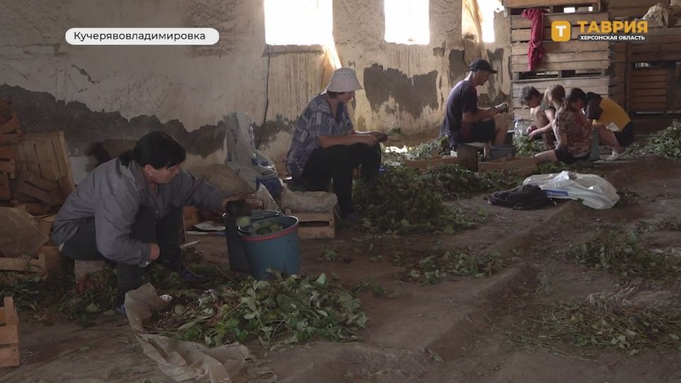 � �������������������� �������� �������� �� 10 �������� ��������