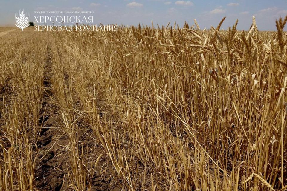 � ����������������� ������ ���������� ������� � ����������