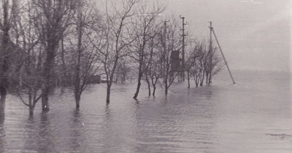 ������� �������: ������� �� ���������� ���� ������� ���������� �������� ���������� �� ������� �������� � ����������� ������ (�������� ����� ����� �������)