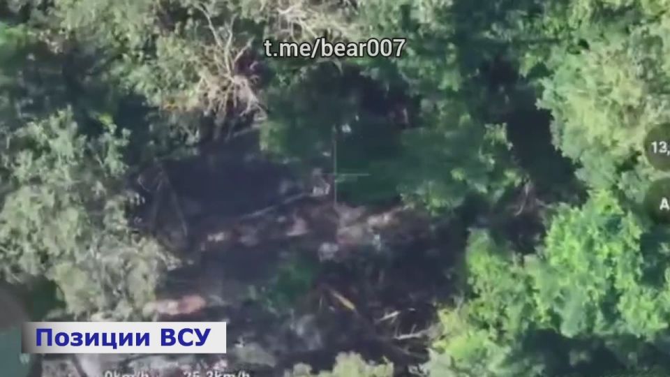 ������������ ����� ������ ������ "�����":