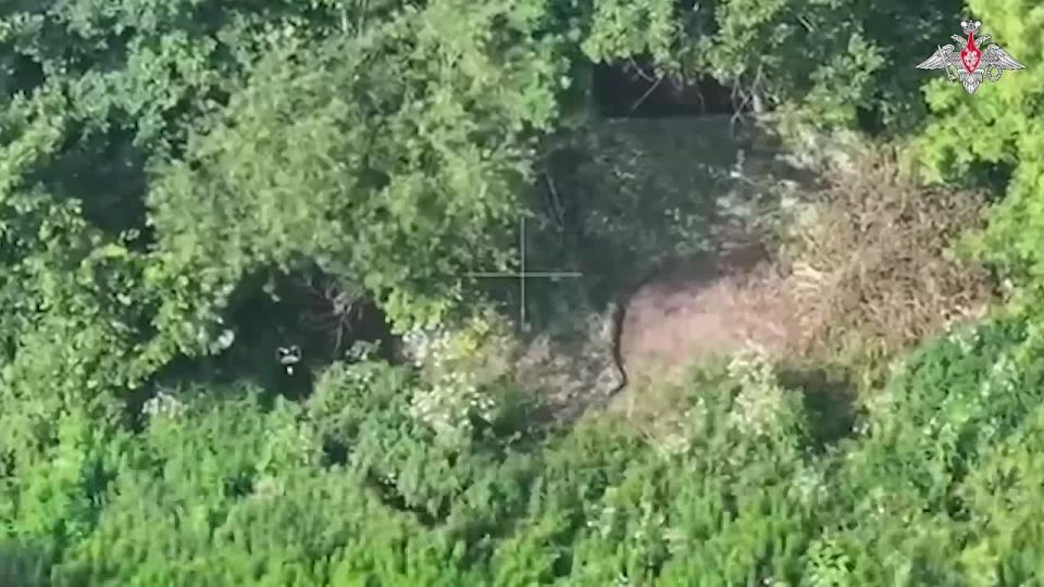 ���������� ������: ������ ����� ������������� ������� ����� ����������