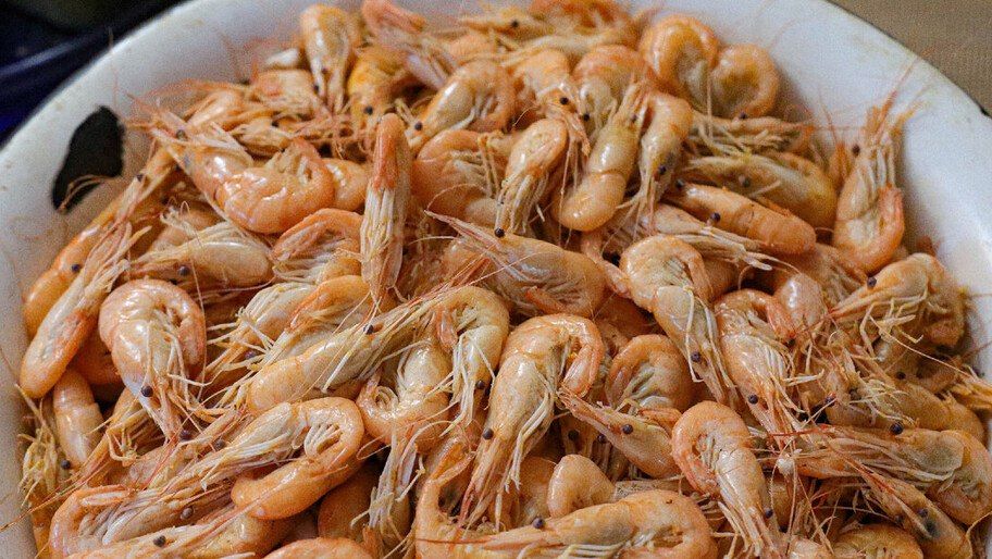 � �������� ��������� ������� ���������� ����������� ��������������