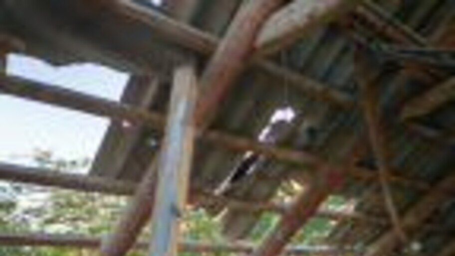 ��� ��������� �����-�����������, ��������� ����� ���