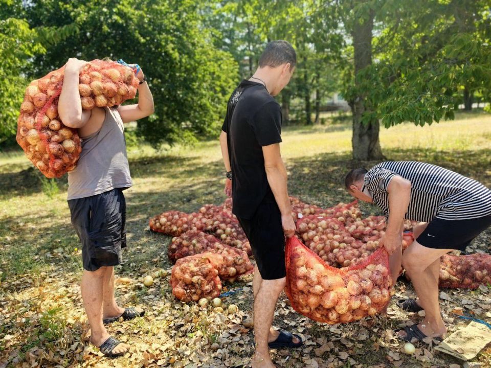 Гуманитарная помощь образовательным организациям Алешкинского района