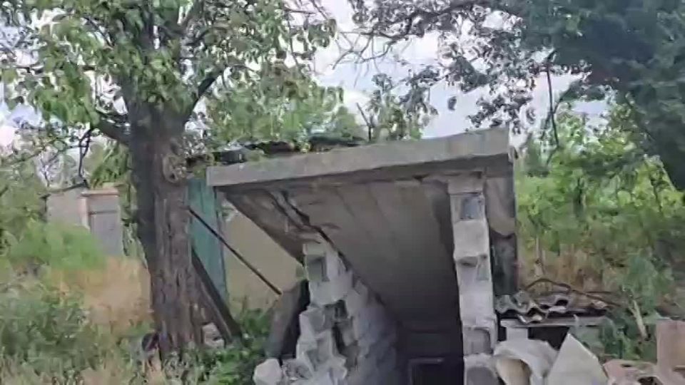 ���� �� �������: �����-��������� ����������� �� ������ ����, � ������ ���� ����������