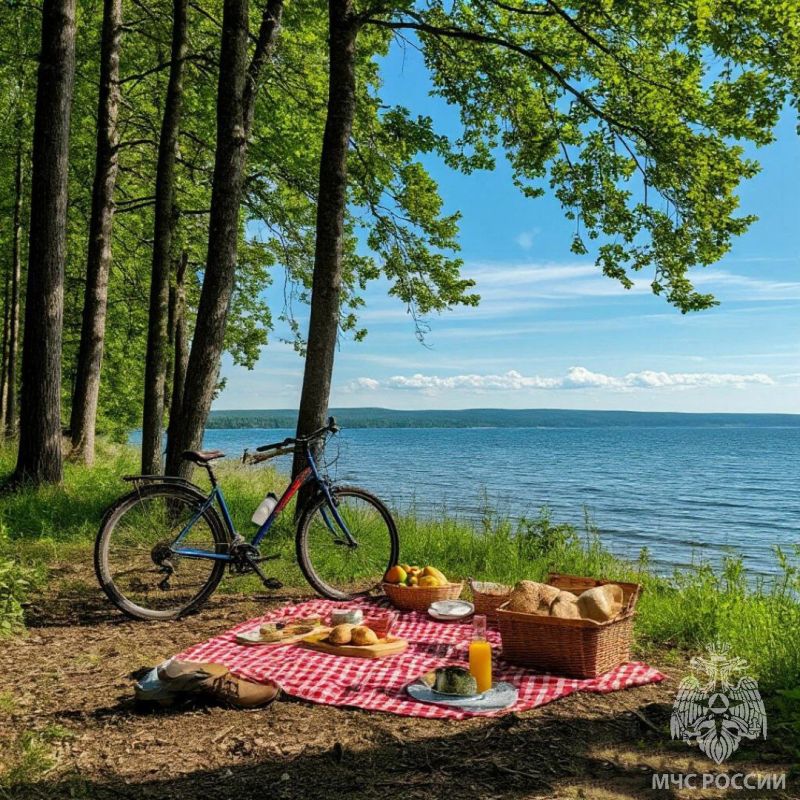 �������� ����� �����: ������� �������