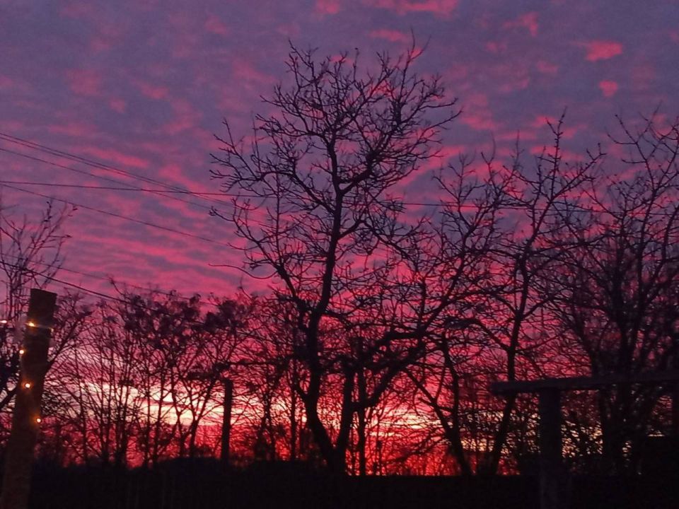 � ��� ���� ����������� ����� �� �����������